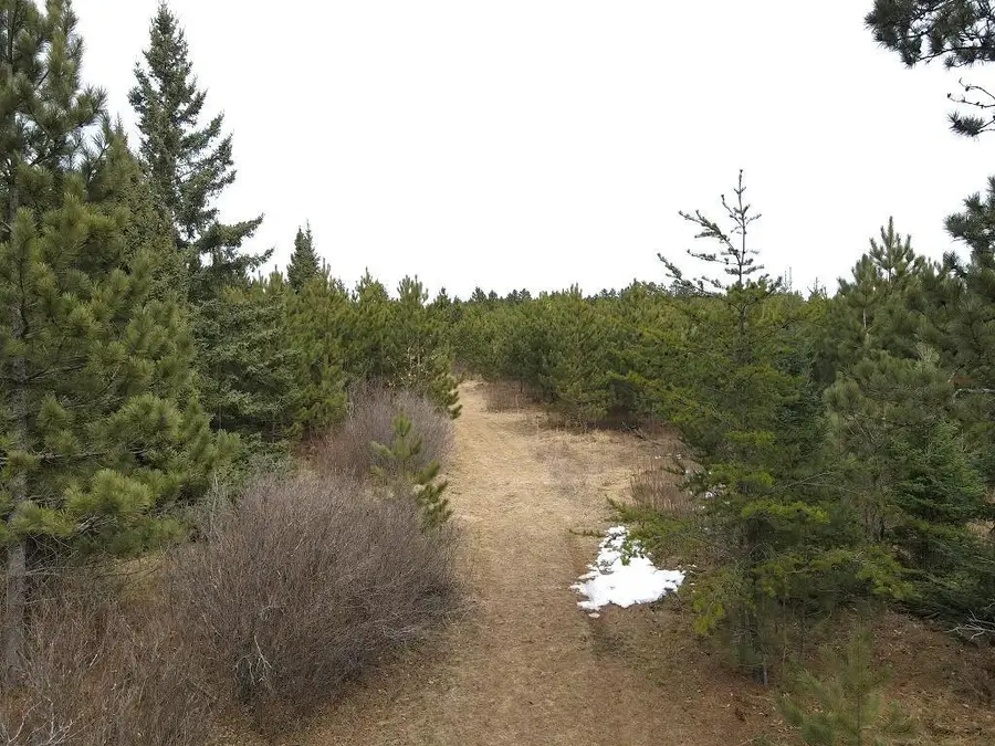 TBD Highway 64, Laporte, MN 56461 - #2