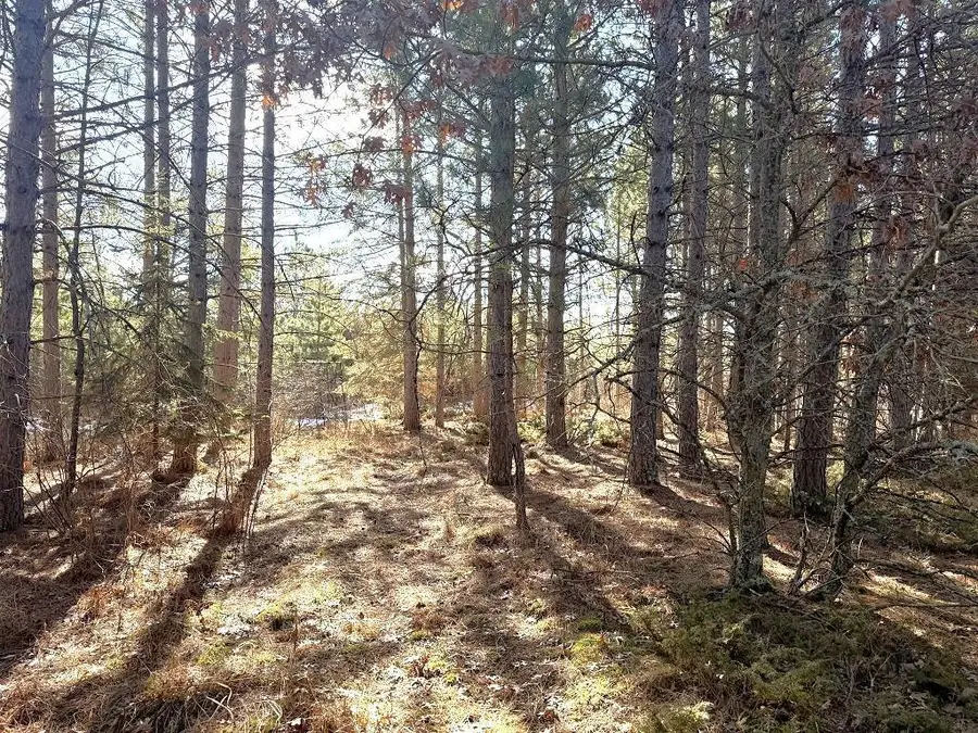 TBD Highway 64, Laporte, MN 56461 - #3