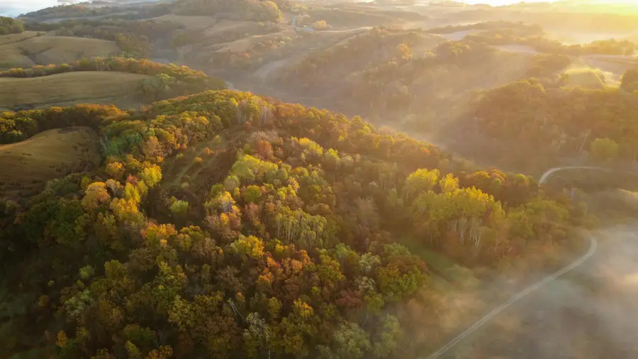 N35194 Przybilla Lane, Independence, WI 54747 - #3