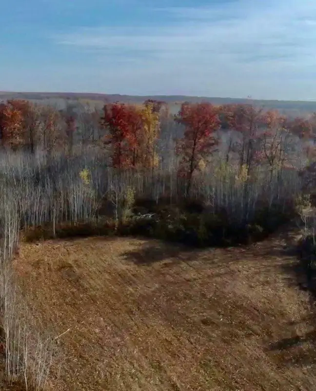 64997 Rutabaga Road, Sandstone, MN 55072 - #3