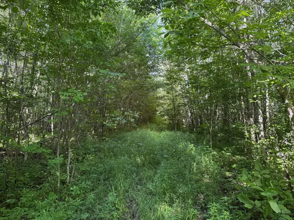 40a Bridgie Road, Northome, MN 56661