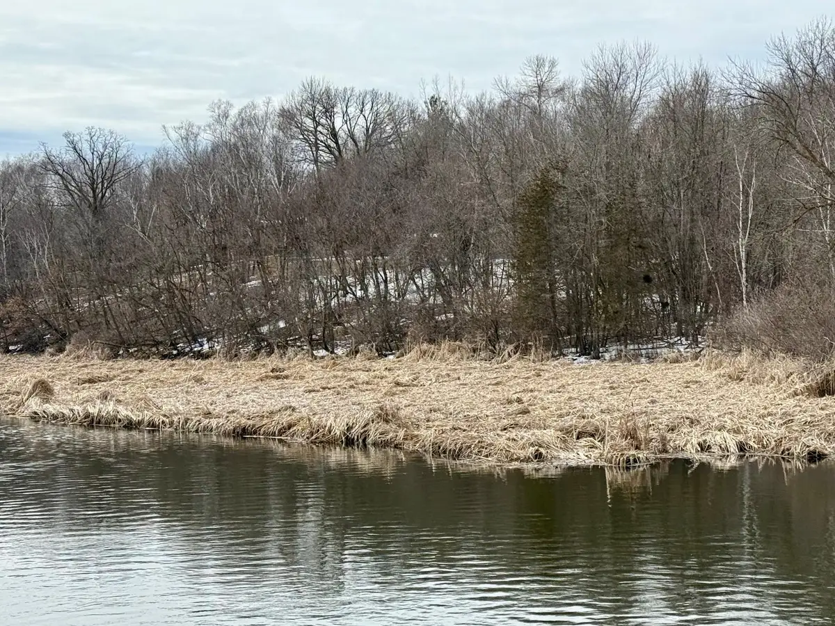 TBD Basswood Drive, Sauk Centre, MN 56378 - #1