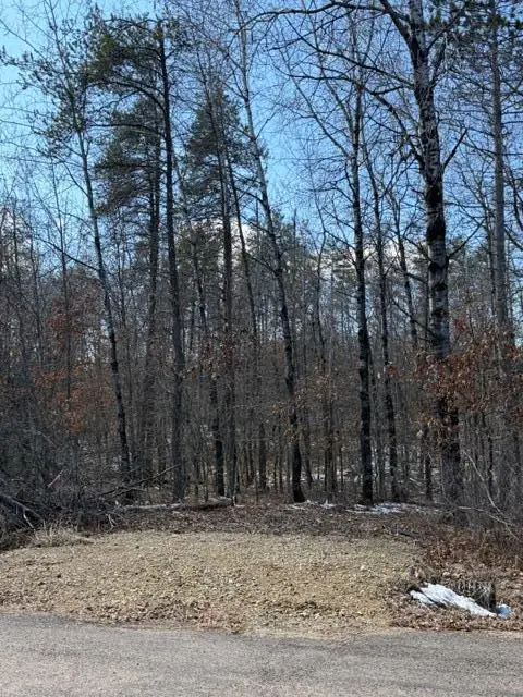 3713 Bay Drive, Webb Lake, WI 54830 - #2