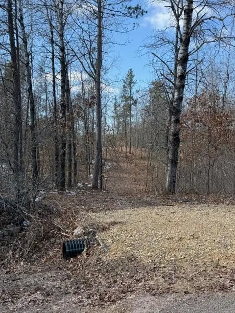 3713 Bay Drive, Webb Lake, WI 54830 - #3