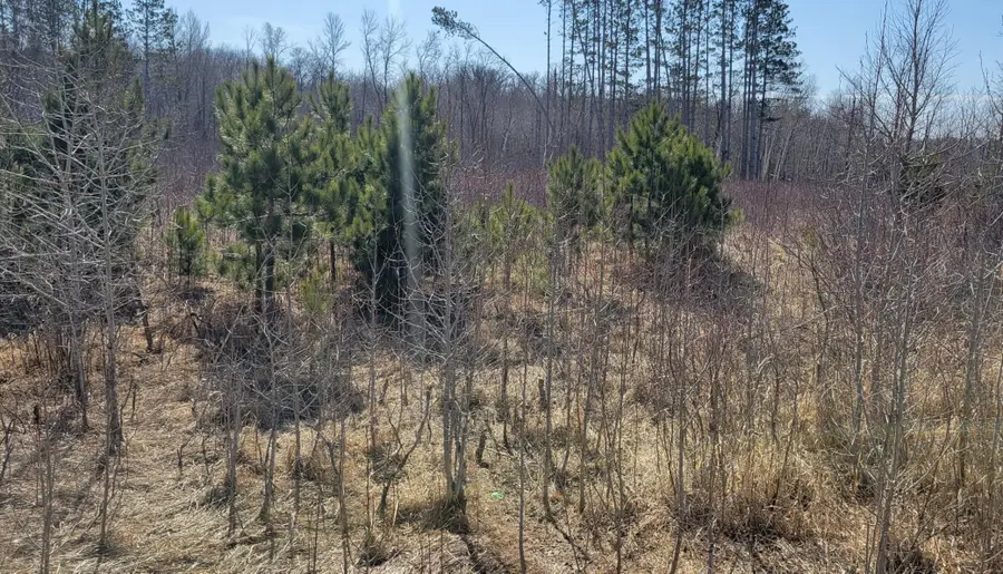 TBD 513th Ave E, Tract E, Ottertail, MN 56571 - #2