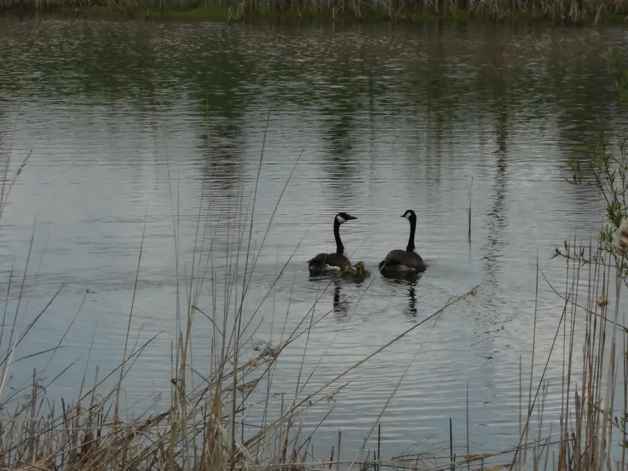 TBD Fortune Creek Trail, Faribault, MN 55021 - #3