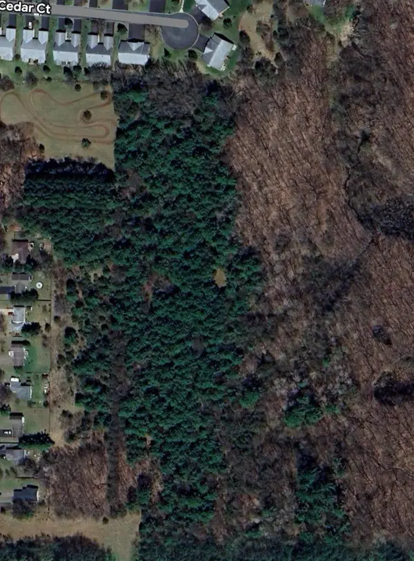 TBD Folsom Street, Shafer, MN 55074