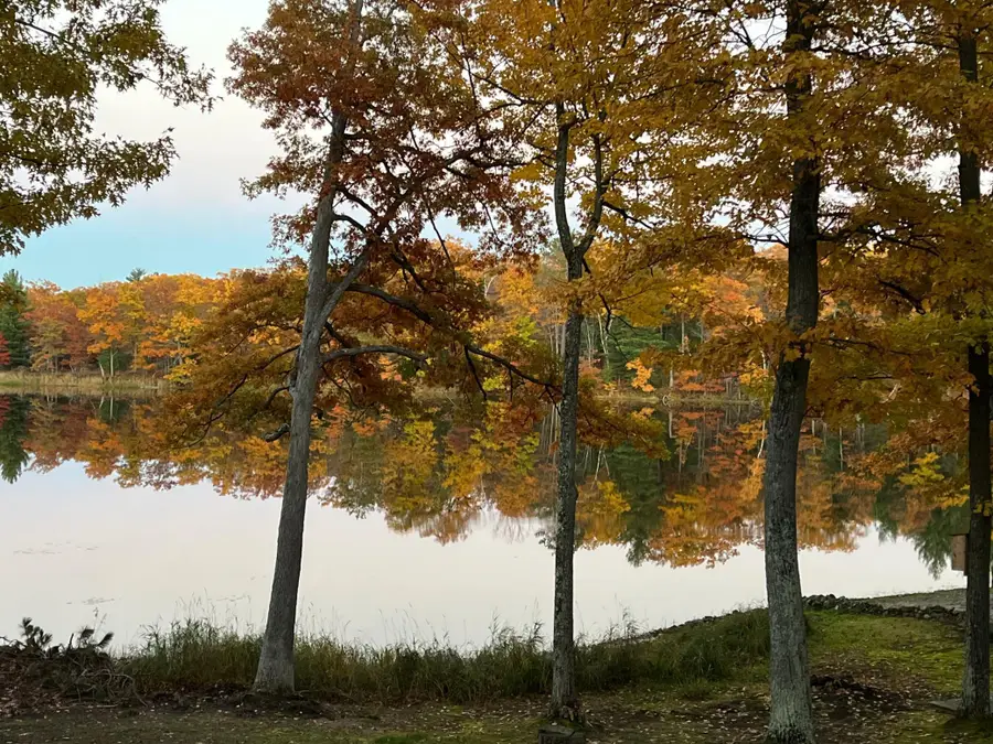 N5284 Golden Pond Lane, Stone Lake, WI 54876 - #2