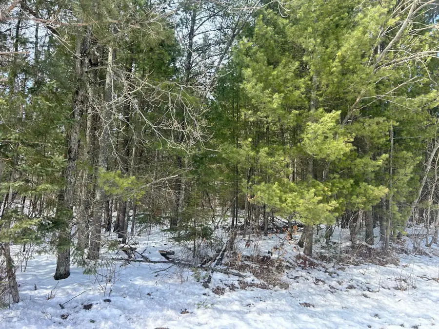 TBD County Road 1, Pine River, MN 56474 - #2