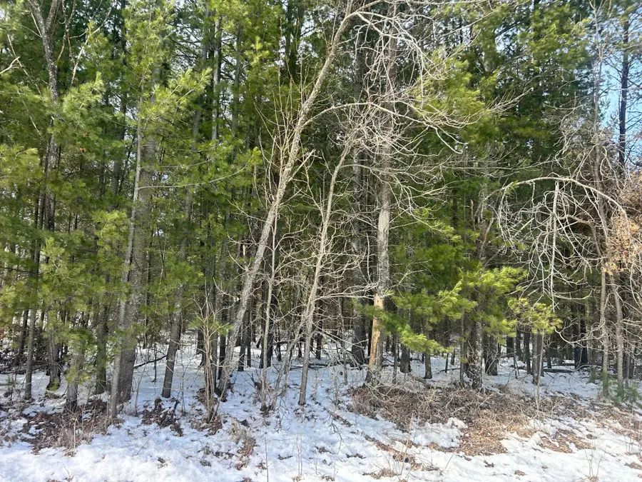 TBD County Road 1, Pine River, MN 56474 - #3