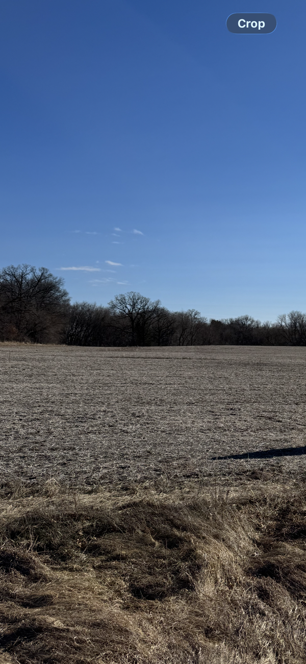 TBD 210th Lane Nw, Nowthen, MN 55303