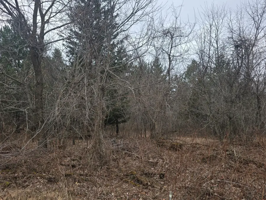 L11,B1 288th Ave Avenue Nw, Zimmerman, MN 55398 - #2