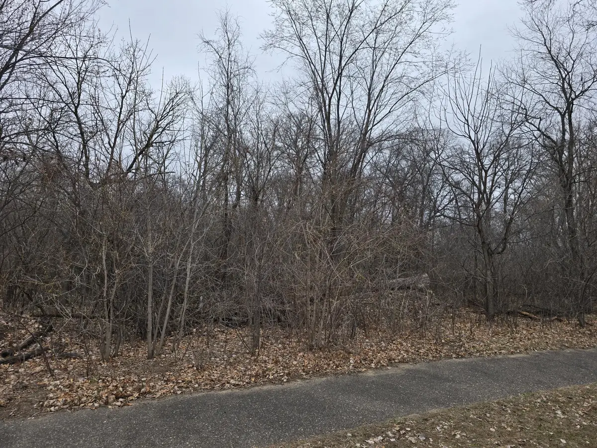 L2,B2 288th Avenue Nw, Zimmerman, MN 55398 - #1