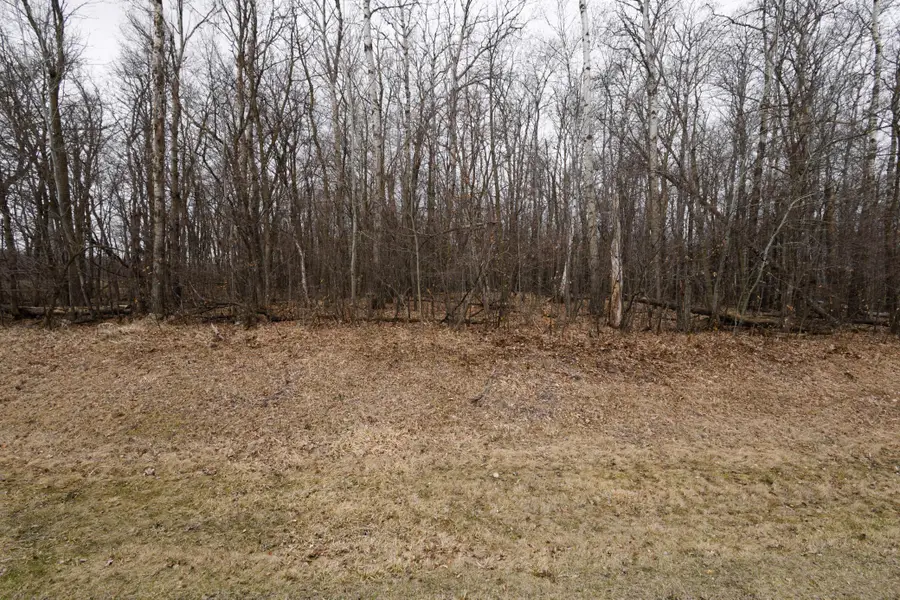 Lot 3 Saylers Beach Road, Lake Park, MN 56554 - #2