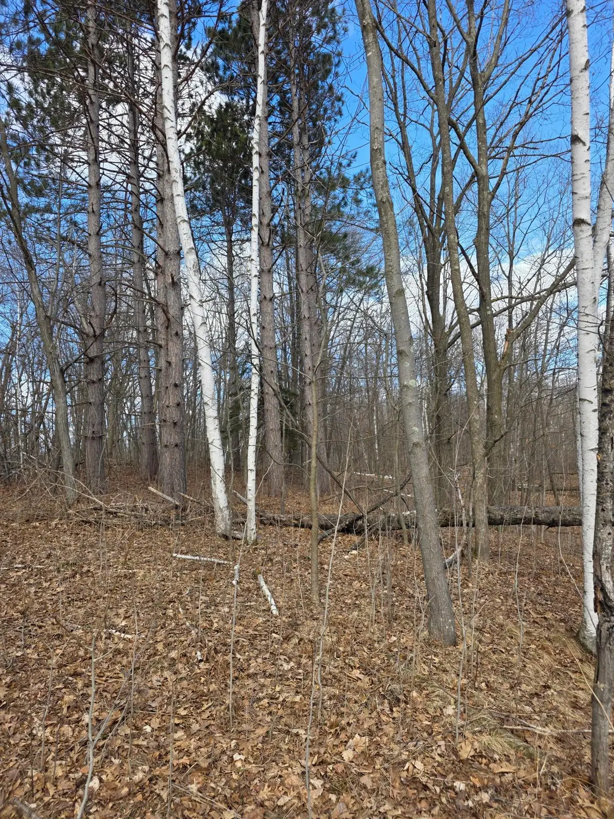 00 Highway W, Weyerhaeuser, WI 54895 - #1