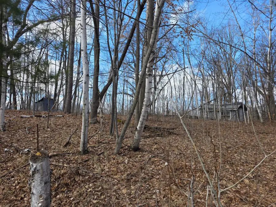 00 Highway W, Weyerhaeuser, WI 54895 - #2