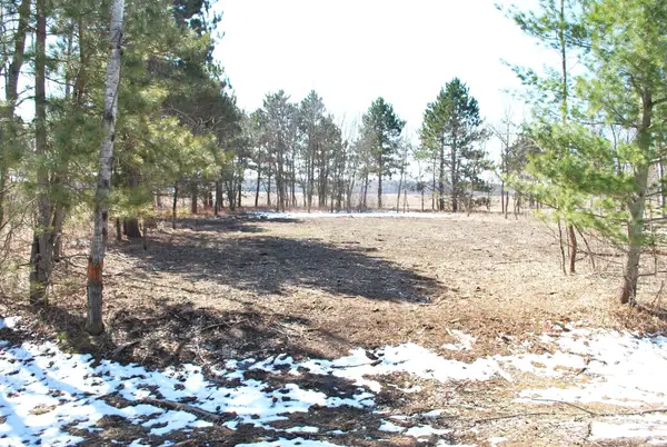 TBD Pacer Drive, Browerville, MN 56438