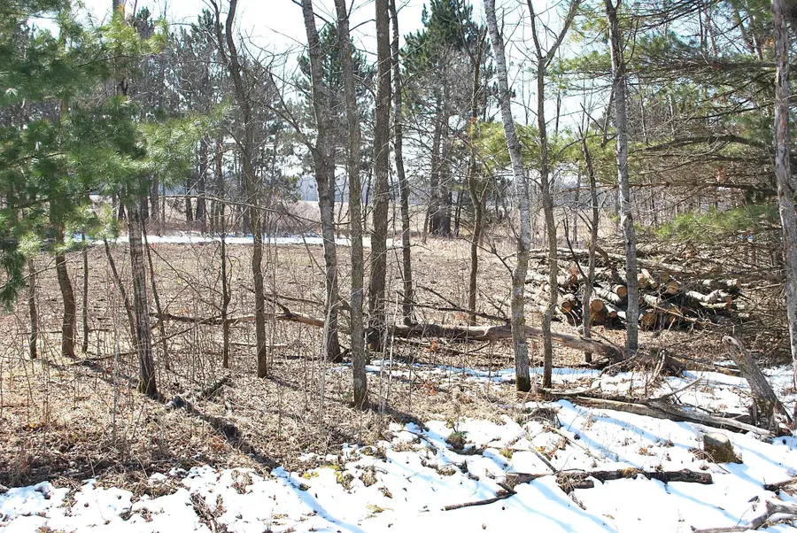 TBD Pacer Drive, Browerville, MN 56438 - #2