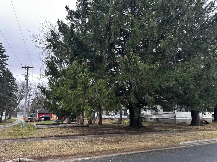 315 2nd Street Se, Harmony, MN 55939 - #3