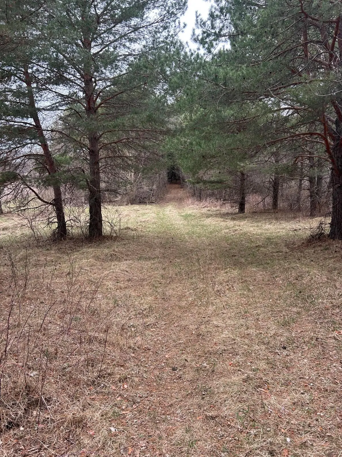 tbd 253rd Street Nw, Zimmerman, MN 55398 - #1