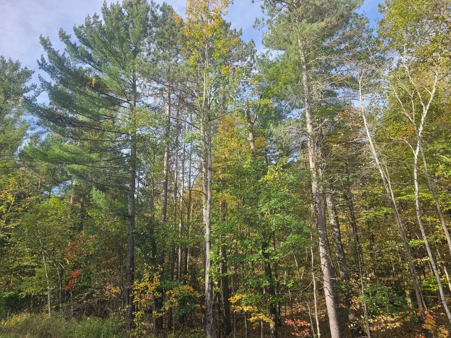 xxx County Road H Road, Danbury, WI 54830 - #3