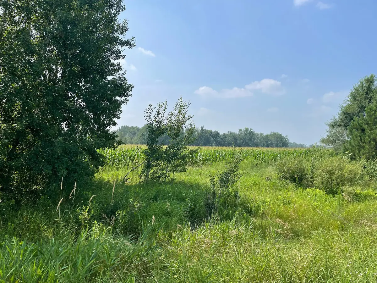 XXX 17th Street, Princeton, MN 55371 - #1