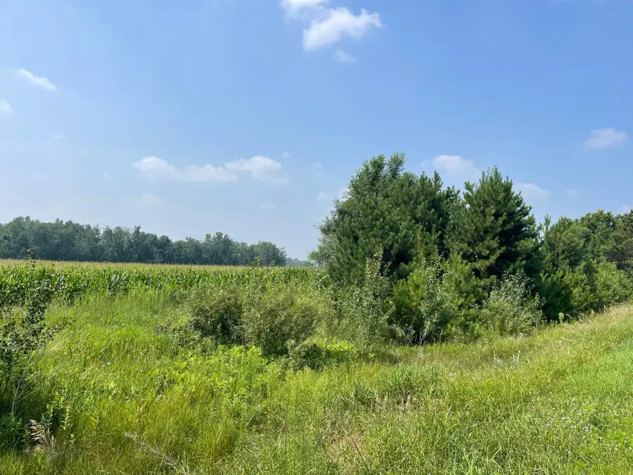 XXX 17th Street, Princeton, MN 55371 - #2