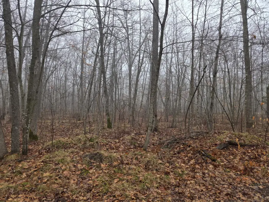 TBD Xxx, Longville, MN 56655 - #2