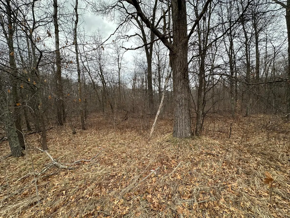 Lot 25 County Rd 11, Breezy Point, MN 56472 - #1