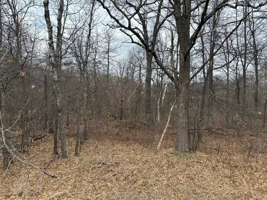 Lot 25 County Rd 11, Breezy Point, MN 56472 - #2