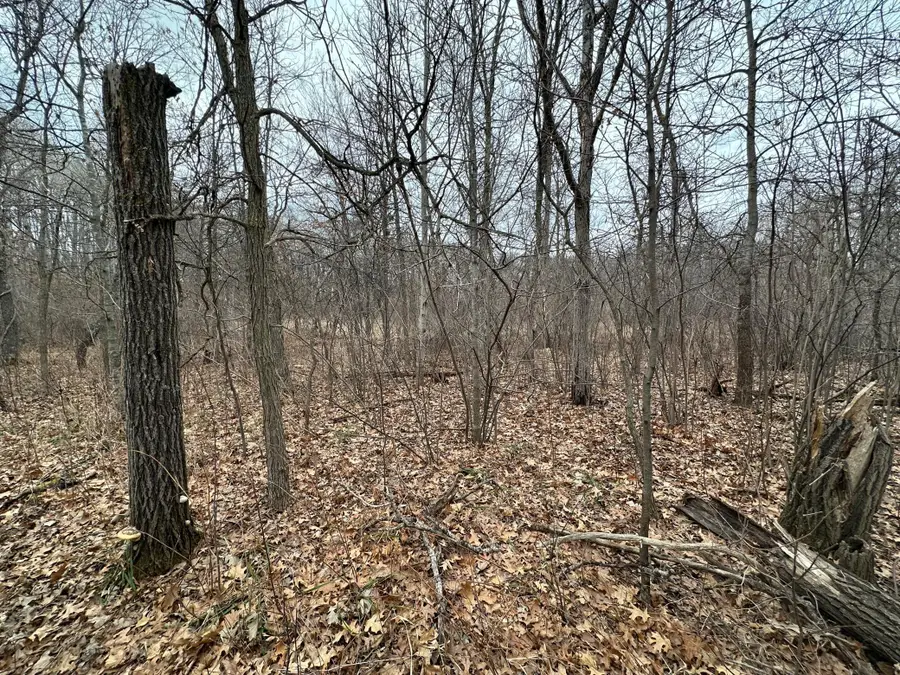 Lot 25 County Rd 11, Breezy Point, MN 56472 - #3