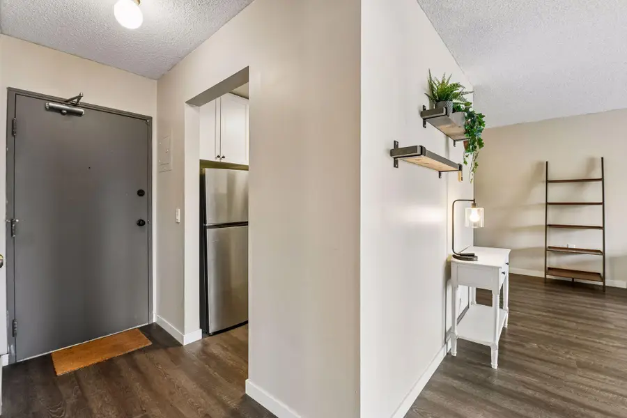 4351 Parklawn Avenue #205E, Edina, MN 55435 - #3