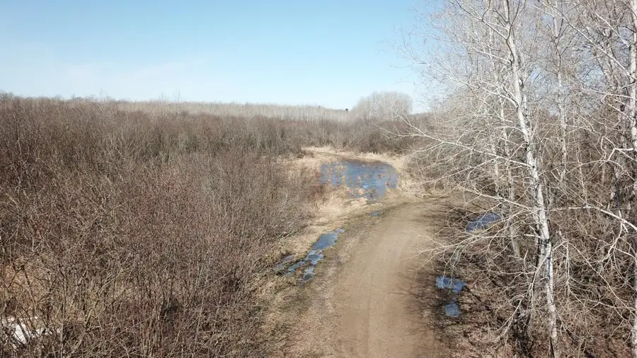TBD Basswood Drive, Cushing, MN 56443 - #3