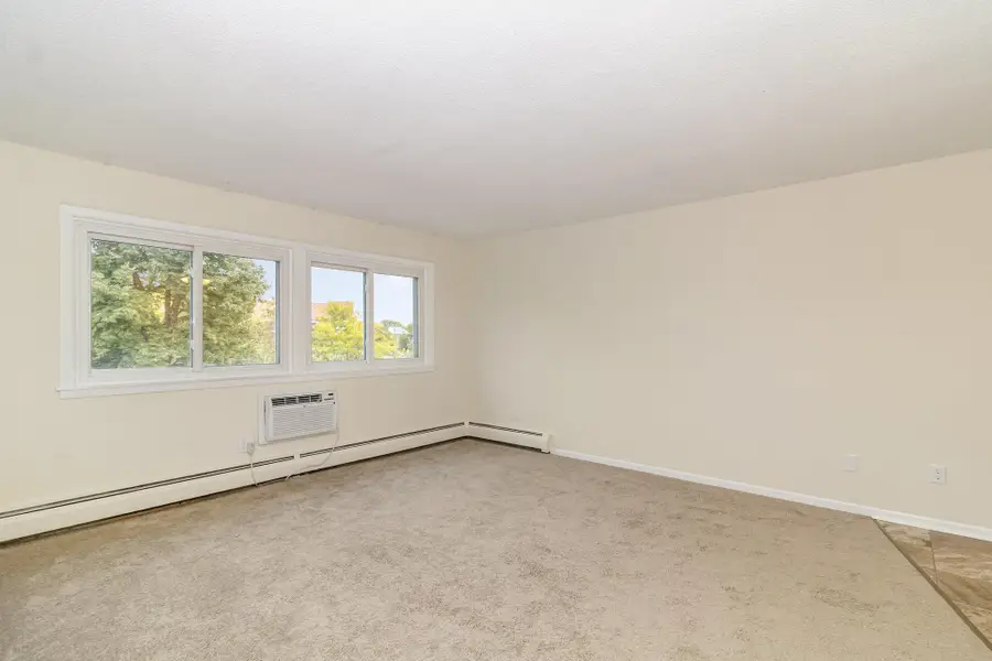 2616 Harriet Avenue #303, Minneapolis, MN 55408 - #2