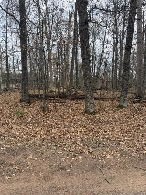 29936 Arbutus Drive, Webb Lake, WI 54830 - #2