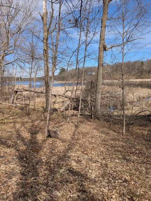 TBD Paradise Drive, Browerville, MN 56438 - #2