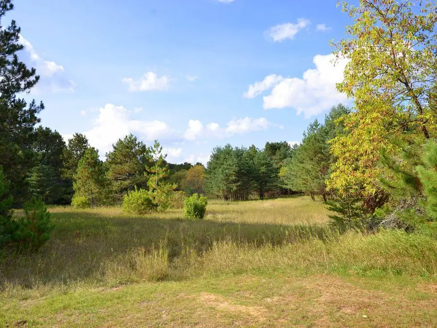 DEF East River Drive, Park Rapids, MN 56470 - #3