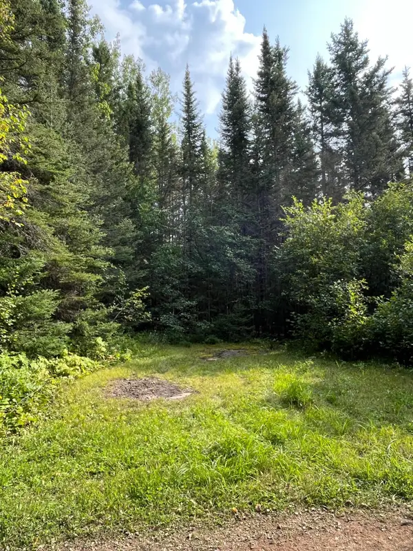 TBD S Lost Lake Road, Hovland, MN 55606