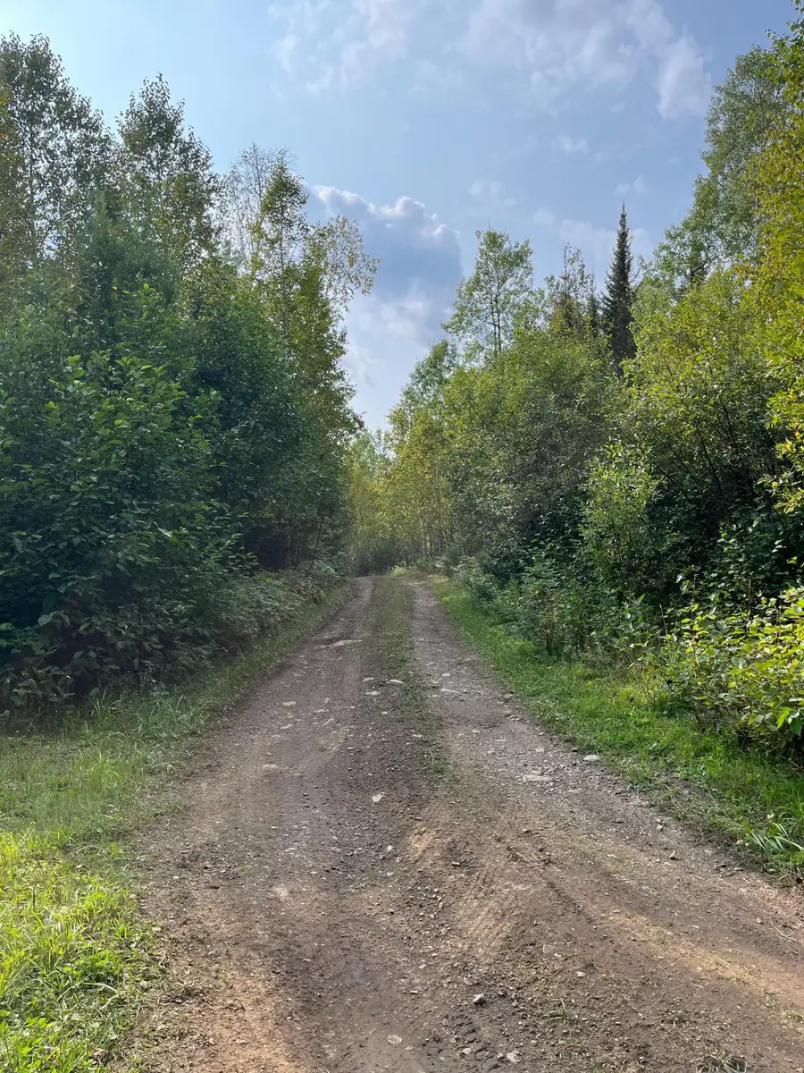 TBD S Lost Lake Road, Hovland, MN 55606 - #3