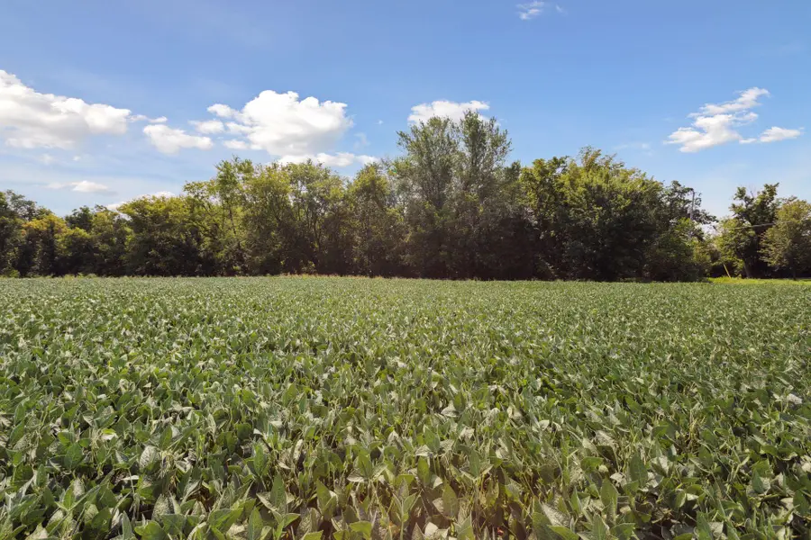 24x2 Holy Name Drive, Medina, MN 55340 - #2
