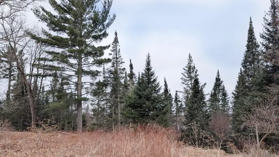 TDB County Rd 453, Bovey, MN 55709 - #3