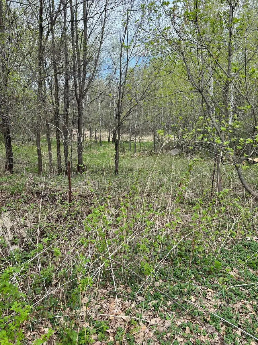 TBD Maple Street N, Royalton, MN 56373 - #3