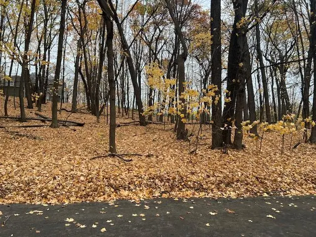 5480 Radisson Entrance, Shorewood, MN 55331 - #2