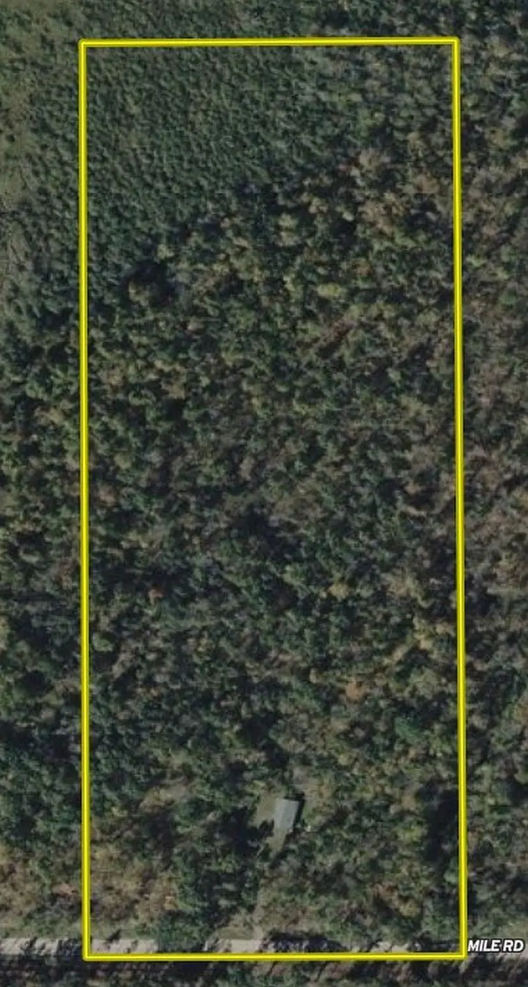 W9618 Mile Road, Ladysmith, WI 54848 - #2