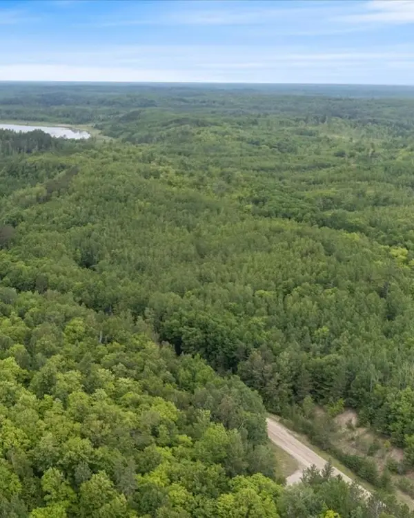 TBD "Lot B" Co Rd 533, Effie, MN 56639