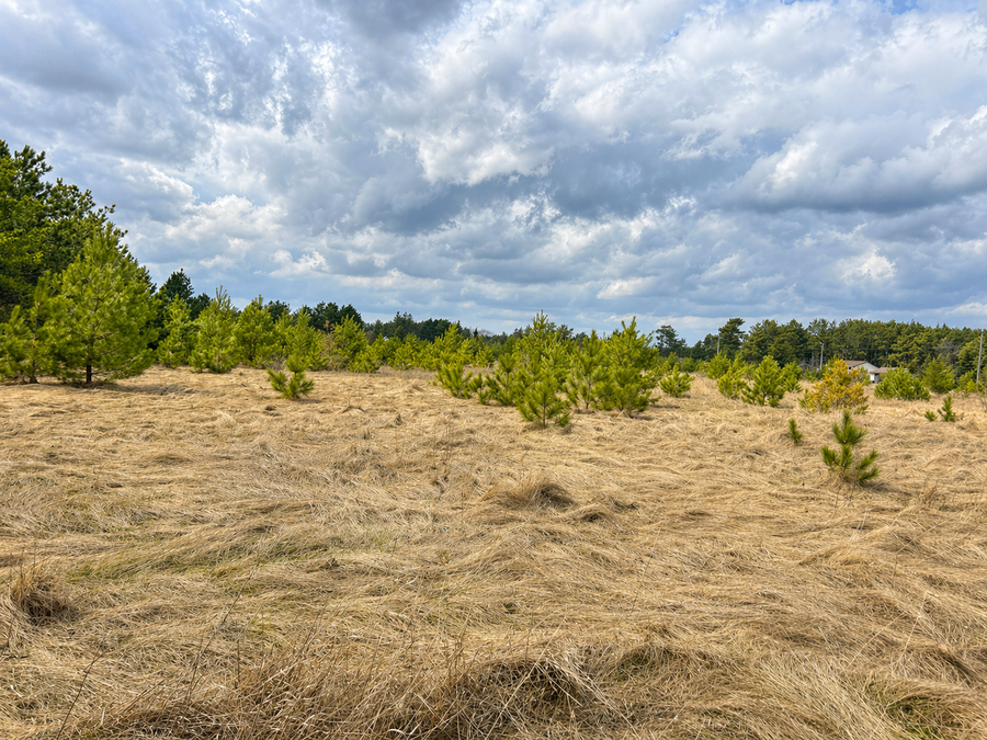 TBD 8th Street W, Park Rapids, MN 56470 - #3