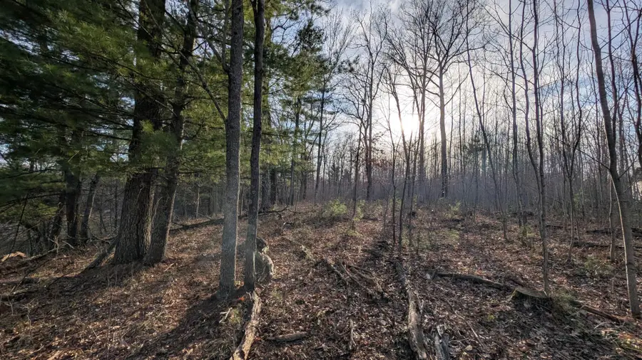 TBD Honkers Hollow, Danbury, WI 54830 - #2