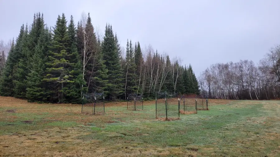 TBD Timber Wolf Trail Sw, Barclay, MN 56435 - #3