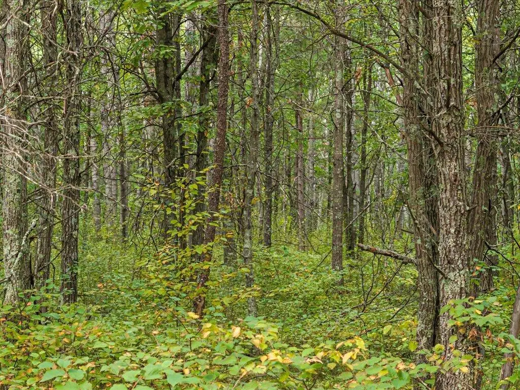 Lot E Sandbar Lane, Merrifield, MN 56465 - #1
