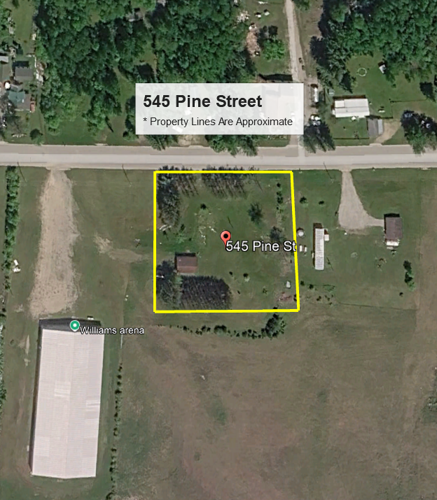 545 Pine Street, Williams, MN 56686 - #3